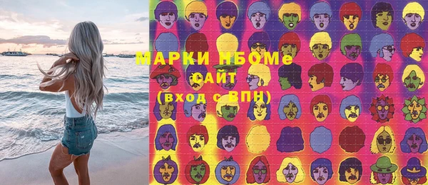 стаф Заводоуковск