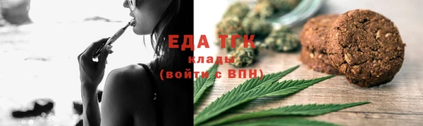 стаф Заводоуковск