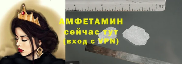 стаф Заводоуковск