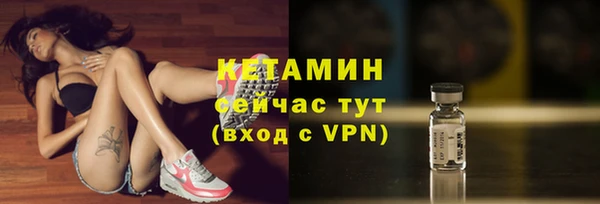 стаф Заводоуковск