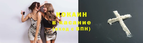 стаф Заводоуковск