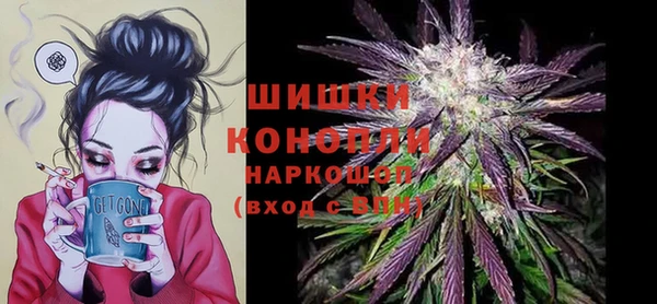 ешки Дмитриев