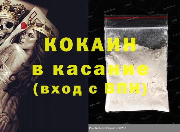 стаф Заводоуковск