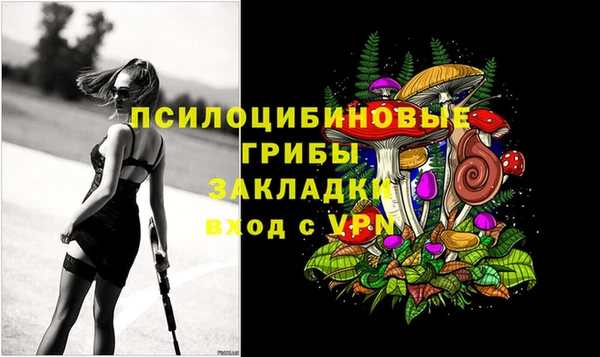 дживик Заволжье